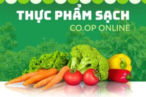Thực phẩm sạch là gì? Hướng dẫn cách chọn thực phẩm sạch
