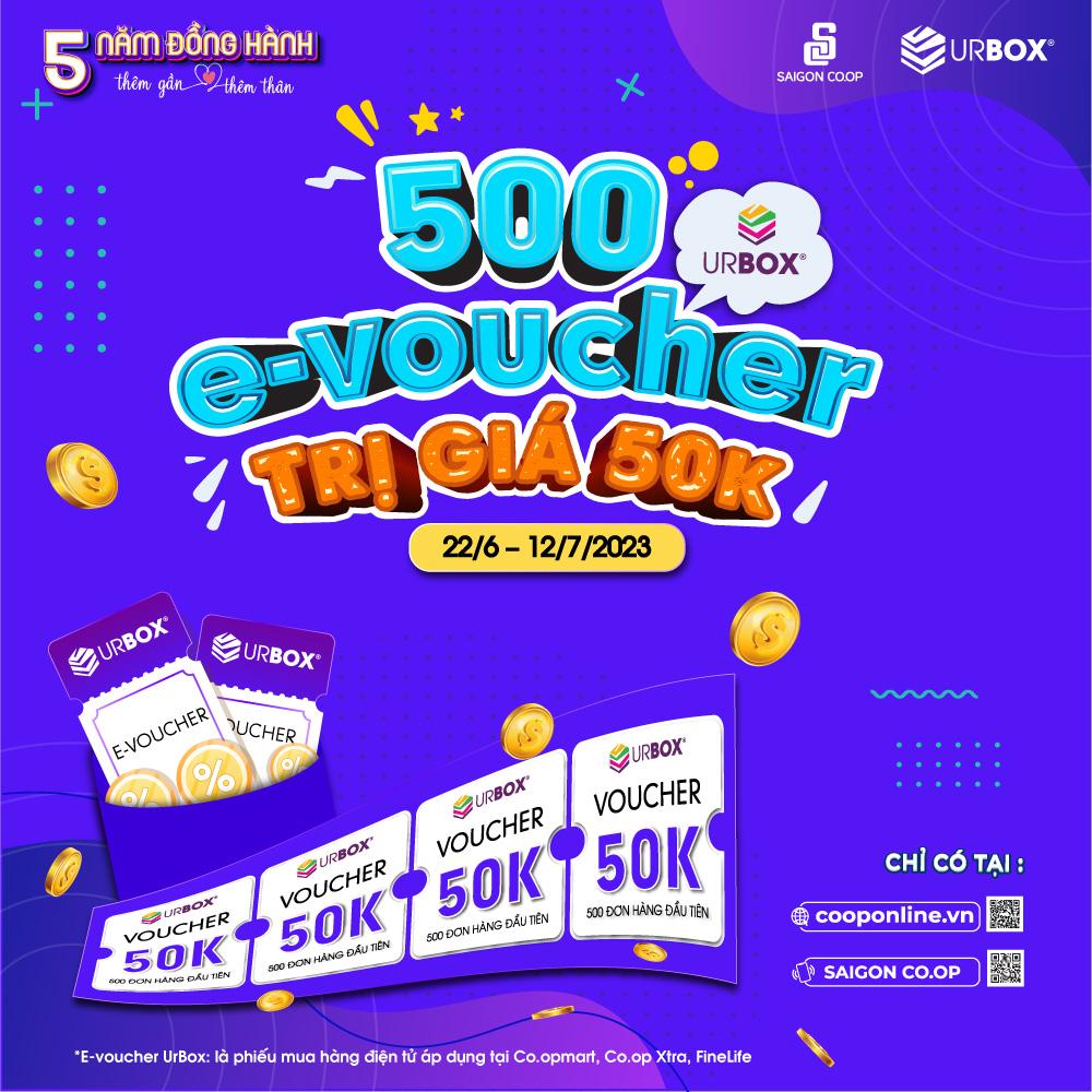 E-voucher là gì? Cách săn, áp dụng các loại E-voucher trên Co.op Online