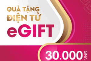Quà tặng điện tử E-gift - Món quà mang ý nghĩa thiết thực