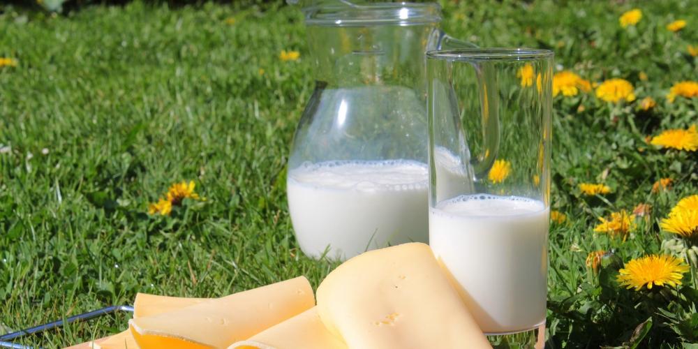 Ngâm cá biển trong sữa tươi có khả năng giảm mùi tanh của cá