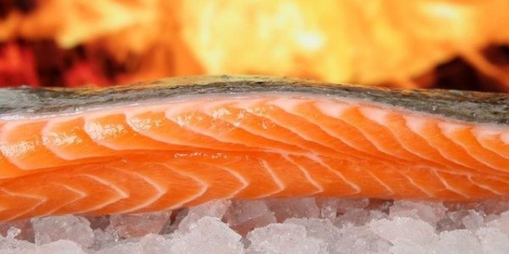 Rửa sạch cá hồi trước khi bảo quản trong ngăn mát tủ lạnh