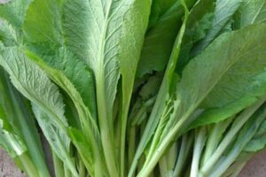 8 Công dụng của cải bẹ xanh bạn không nên bỏ qua