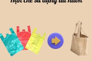 Hạn chế sử dụng túi nilon