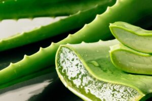 Top 15 công dụng của nha đam đối với sức khỏe và làm đẹp