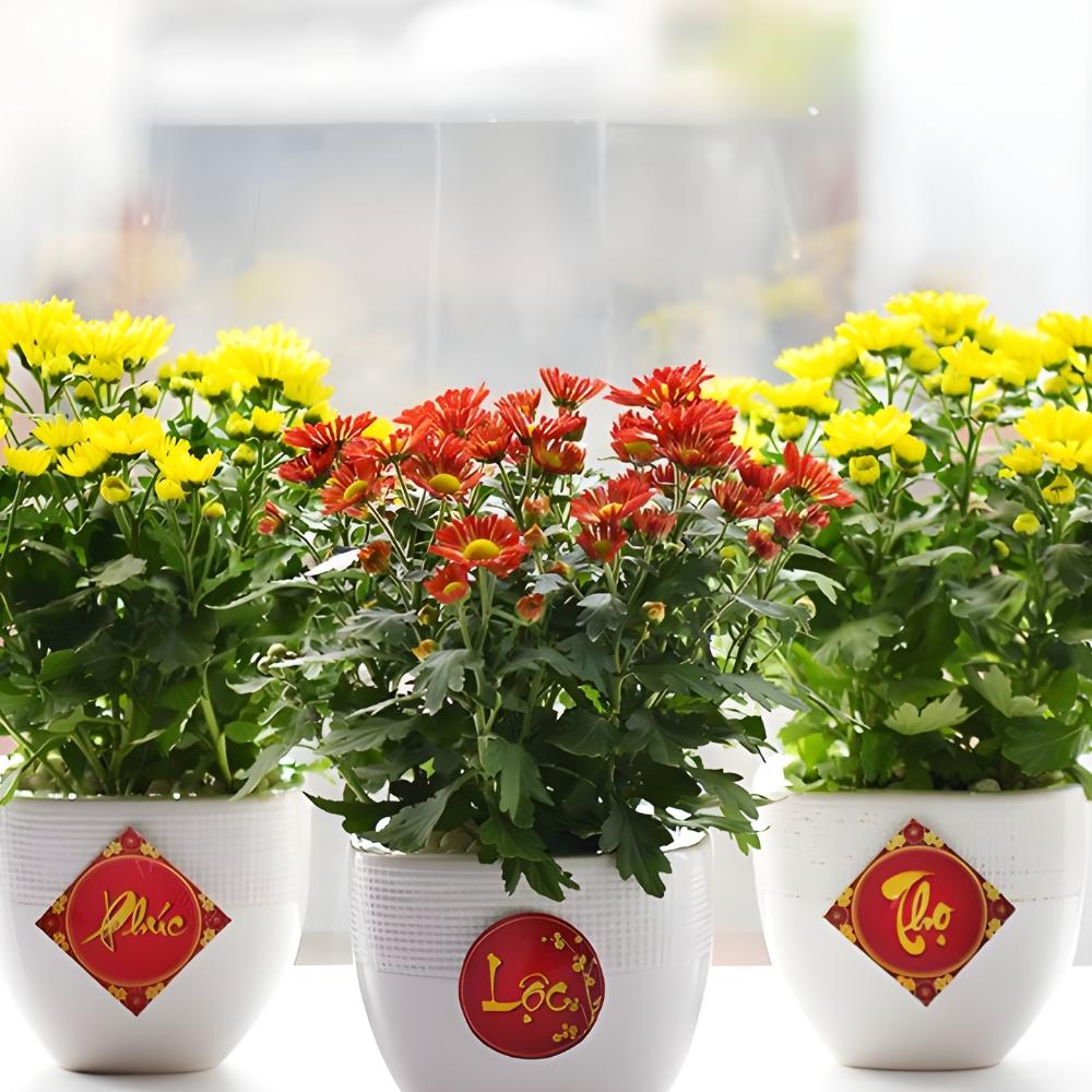 Hoa cúng tết