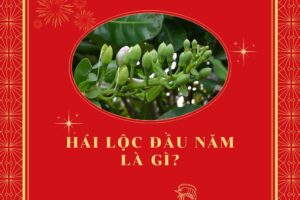 Hái lộc đầu năm là gì? Cách hái lộc mang đến