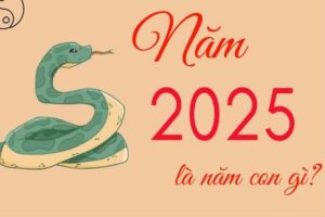 Năm 2025 là năm con gì? Giải mã ý nghĩa phong thủy
